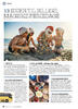 13 ideer til billige, magiske feriedage
