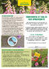 Ecostyle